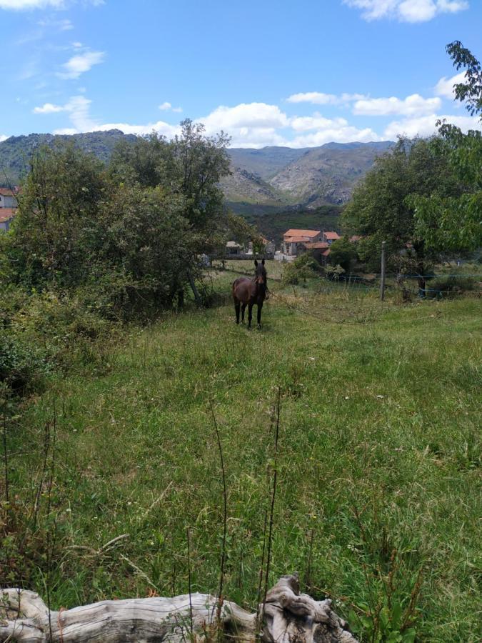 Pé na Aldeia Outeiro (Tras-Os-Montes) Exterior foto